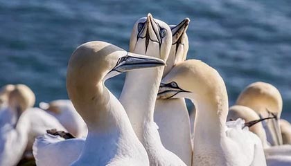 开云APP下载-中国足球比赛场面纷争不断，球员表现抢眼，我国足球比赛