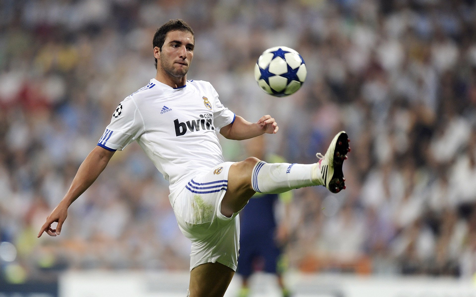 北马其顿国家队备战全力以赴，欧锦赛前景一片光明，北马其顿欧预赛